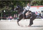 Pferd International 202